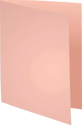 Produktbild von EXACOMPTA Aktendeckel FOREVER 180 DIN A4 rosa 100 Aktendeckel