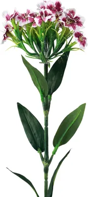 Produktbild von Bartnelke Dekoration Blume künstlich täuschend echt langlebig
