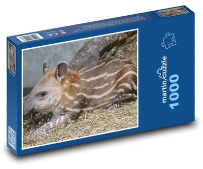 Obrázok produktu pre Puzzle 1000 Mládě tapíra v sene - martinpuzzle