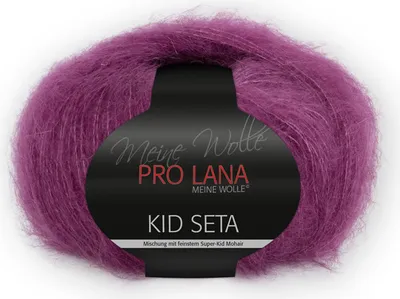 Produktbild von Pro Lana Kid Seta Uni 25g (46)