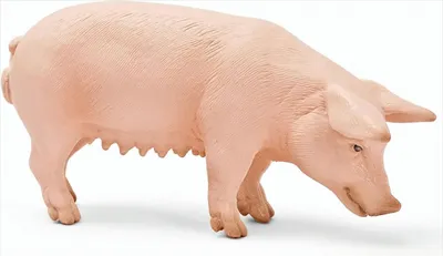 Produktbild von Schleich 13288 - Schwein, stehend