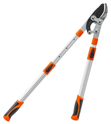 Image de Sécateur télescopique pour jardinage