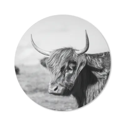 Produktbild von MuchoWow® Mauspad Mousepad Schottischer Highlander - Tiere - Schwarz - Weiß 50x50 cm - Mousepads - Maus Mat - Pad - Mausunterlage - Vinyl
