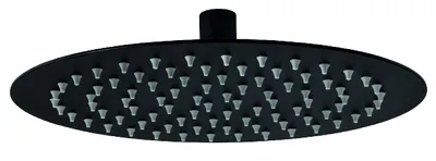 Obrázok produktu pre Hlavová sprcha Novaservis 60 x 250 mm čierna RUP/250,5