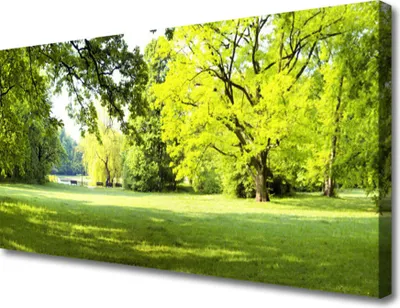 Produktbild von Tulup Leinwand-Bilder 100x50 Wandbild Canvas Kunstdruck Gras Bäume Natur