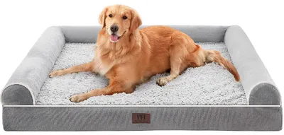 Image de Grand lit orthopédique pour chiens avec bordure en forme de U et housse amovible