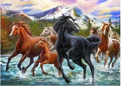 Immagine prodotto di Norimpex Diamante pittura Cavalli in acqua 30x40cm