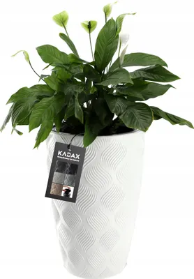 Obrázok produktu pre KADAX "Jesi" kvetináč s vložkou, plastový kvetináč, odolný voči UV žiareniu, vysoký, 30 cm, biely