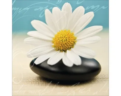 Produktbild von Glasbild Blue Passion I GLA316 20x20 cm