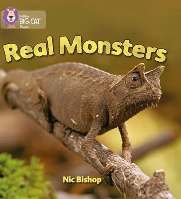 Produktbild von Real Monsters