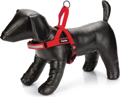 Produktbild von Karlie Art Sportiv Premium - Hundegeschirre - Nylon - Rot - 82-105x3 cm