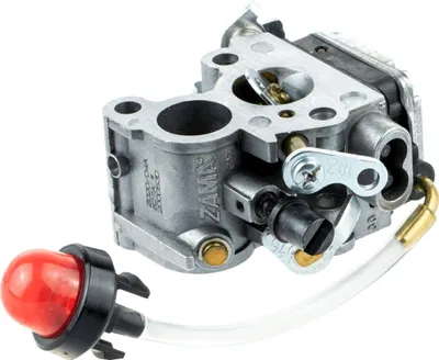 A carburetor and a primer bulb for a chainsaw.