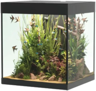 Produktbild von Opera Aquarium 80 Black