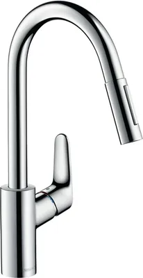 Image de Hansgrohe Focus Mitigeur d'évier chromé avec douchette extractible