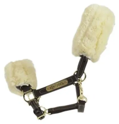 Produktbild von Kentucky Horsewear Lederhalfter Lammfell Braun Pony