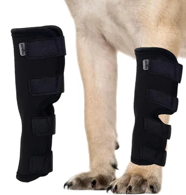 Productafbeelding van Kniebandage voor honden achterbeen, ademend en comfortabel, zwart