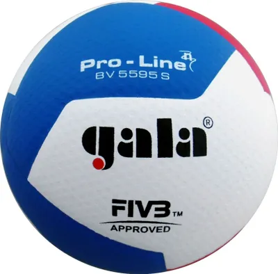Image de Ballon de volley Gala "Pro-Line BV5595S