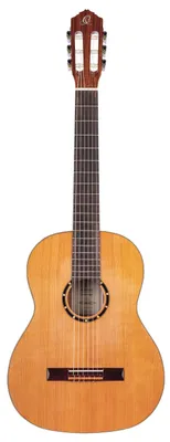 Produktbild von Ortega R122G