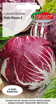 Produktbild von Salatsamen Chicorée palla rossa 2g - Torseed