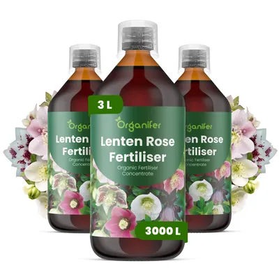 Obrázek produktu pro Čemerica Tekuté Hnojivo 3x1 L – 3-4-3 NPK – Pro Čemerice – Podporuje Dlhotrvajúce Květy & Zdravú Štruktúru – Organifer