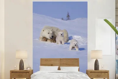 Produktbild von MuchoWow® Fototapete für Wohnzimmer oder Schlafzimmer Wandtapete Vinyl Motivtapete Eisbär - Kinder - Schnee - 195x300 cm - Das Hintergrundbild