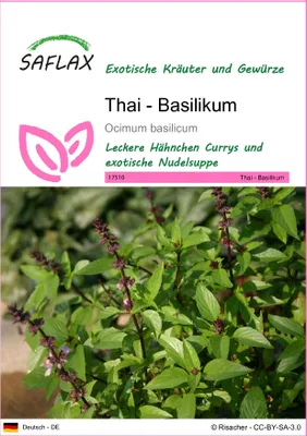 Produktbild von SAFLAX - Thai - Basilikum - Ocimum basilicum - 200 Samen