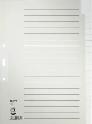 Produktbild von Leitz Register 60960085 blanko DIN A4 Tauenpapier grau