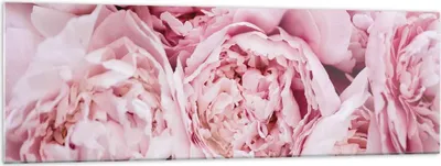 Produktbild von Bilder auf glas - Einteilig - Blumenstrauß Blumen Rosa - 160x50cm - Glasbilder - Wandbilder - Bilder - zum Aufhängen bereit - Wanddekoration aus Glas - Glas Bilder - Wandbild auf Glas - GAB160x50-5001