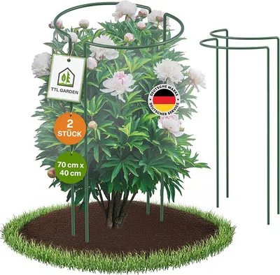 Produktbild von TTL GARDEN Strauchstützen 70×40 cm 2er Set – Pflanzenstütze Stahl beschichtet grün