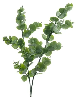 Produktbild von DEKO® FLORALE Eukalyptus Zweig 47 cm - Kunstblumen
