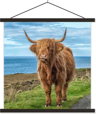 Produktbild von MuchoWow® Textilposter Schottisches Hochlandrind - Wasser - Hörner 60x60 cm mit schwarzem Rahmen - Posteraufhänger