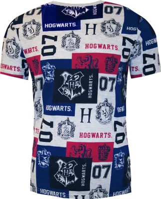 Produktbild von Harry Potter - "Hogwarts" T-Shirt für Herren NS5379 (M) (Bunt)