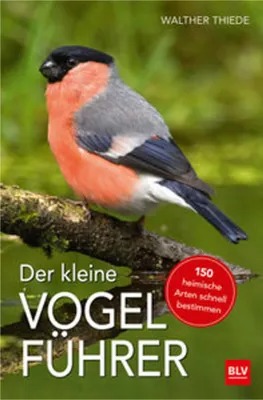 Produktbild von Der kleine Vogelführer
