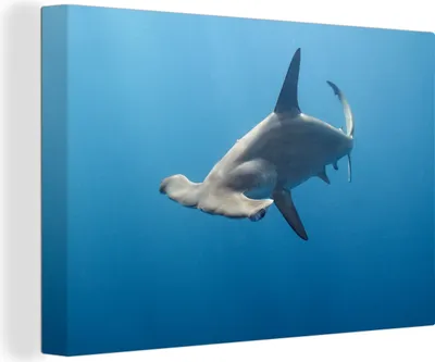 Obrázek produktu pro OneMillionCanvasses® Malba na plátně Nástěnná malba na plátně - Kladivoun - 150x100cm