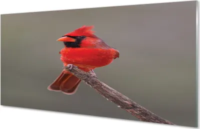Produktbild von Glasbilder 140x70 Wandkunst Red Papagei auf einem Zweig