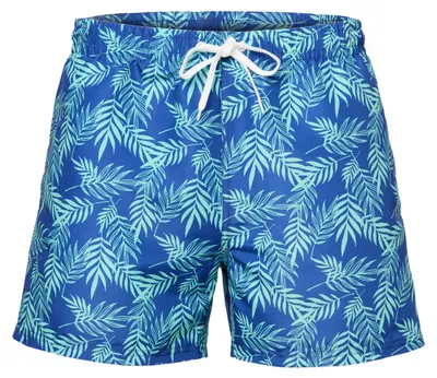 Image de Maillots de bain pour homme Ladeheid - Shorts de bain - Shorts de plage LA40-254 (bleu-vert, S)