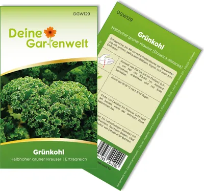 Produktbild von Grünkohl Halbhoher grüner krauser Samen - Brassica oleracea - Grünkohlsamen - Gemüsesamen - Saatgut für 250 Pflanzen