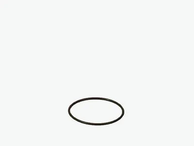Productafbeelding van Eheim O-Ring voor 2080/2180,2226-2328/2227-2329-2426