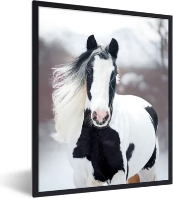 Produktbild von MuchoWow® MuchoWow® Gerahmtes Poster Pferd - Schnee - Winter - Porträt 30x40 cm - Poster mit zchwarzem Bilderrahmen - Wanddeko - Kunstdrucke