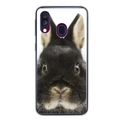 Produktbild von MuchoWow® Handyhülle Schutzhülle Hülle für Samsung Galaxy A40 Kaninchen - Haustiere - Fell Silikon Softcase Handy Hülle - Handy-Tasche
