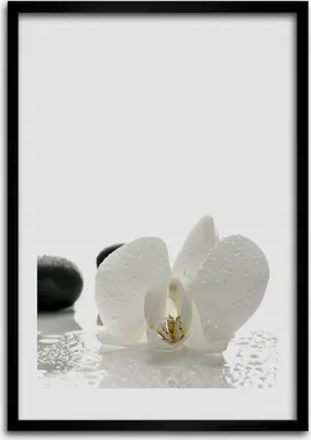Produktbild von Bild - Bilderrahmen - Foto - 70 cm x 100 cm - MDF - Rahmen - Wandkunst - Orchidee und Steine