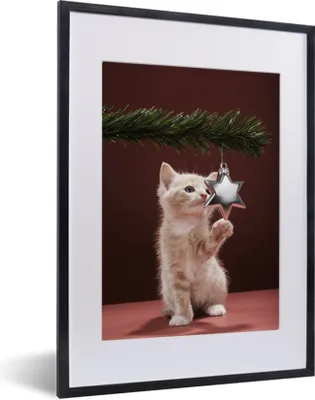 Produktbild von MuchoWow® MuchoWow® Gerahmtes Poster Weihnachten - Weihnachtsdekoration - Katze 30x40 cm - Poster mit zchwarzem Bilderrahmen - Wandposter Schlafzimmer