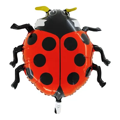 Image de ABC Shape Coccinelle D 58 cm