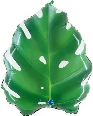 Image de Ballon en feuille de monstera, 76x63cm