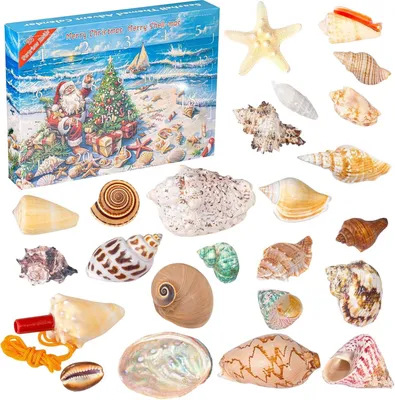 Immagine prodotto di Calendario dell'Avvento con giocattoli per bambini dai 3 ai 12 anni, motivo a conchiglie, 24 pezzi