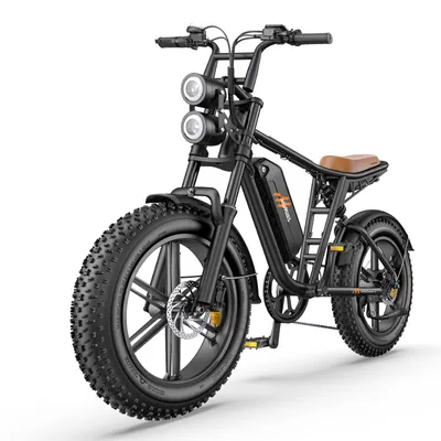 Produktbild von HillMiles E-Bike MTB mit einem Akku/2 Akkus, 832/1664Wh Akku bis zu 130km/260km, 20 * 4.0 Zoll Fette Reifen, 7 Gang, 250W Motor Max. 25km/h, MileZoom1