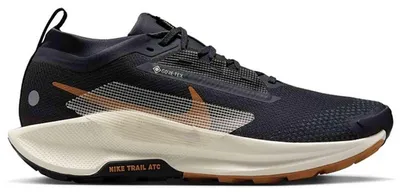 Produktbild von Nike Pegasus Trail 5 Gtx Flt Silver/Volt/Black Flt Silver/Volt/Black 41