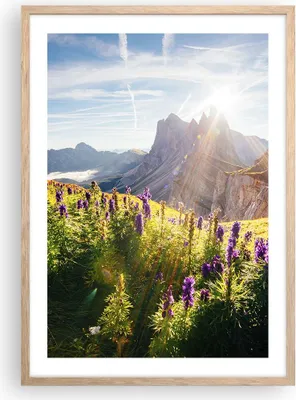 Produktbild von Gerahmtes Poster - Rahmen in heller Eiche - Berge Wiese Blumen - 50x70 cm - Wand Bild - Wanddeko - Wandbilder - Wandposter - Bilderrahmen - Bilder - Kunstdruck - Wandbild - P2NPA50x70-4008