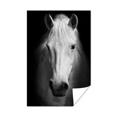 Productafbeelding van Poster - Wit paard, zwart-wit kunstportret. - 80x120 cm