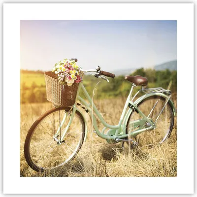 Produktbild von Poster - Poster ohne Rahmen - Fahrrad Wiese Blumen - 40x40 cm - Wand Bild - Wanddeko - Wandbilder - Kunstposter - Wandposter - Bilder - Kunstdruck - Wanddekoration - Wandbild - P2XAC40x40-4206